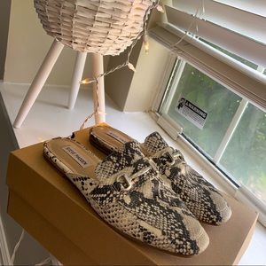 Steve Madden Snakeskin Loafer